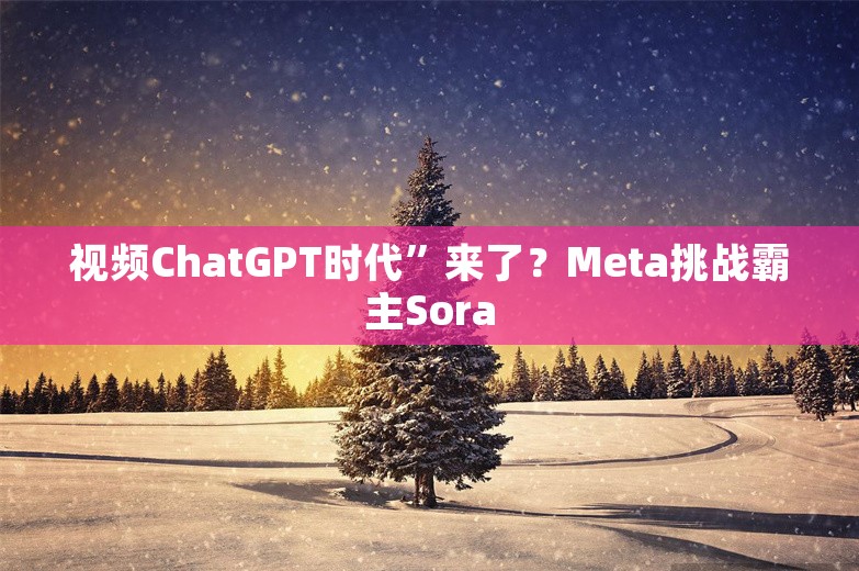 视频ChatGPT时代”来了？Meta挑战霸主Sora