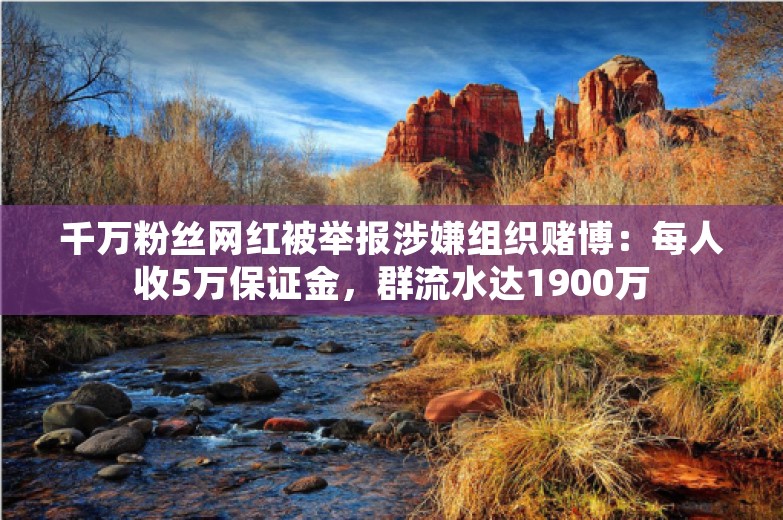 千万粉丝网红被举报涉嫌组织赌博：每人收5万保证金，群流水达1900万