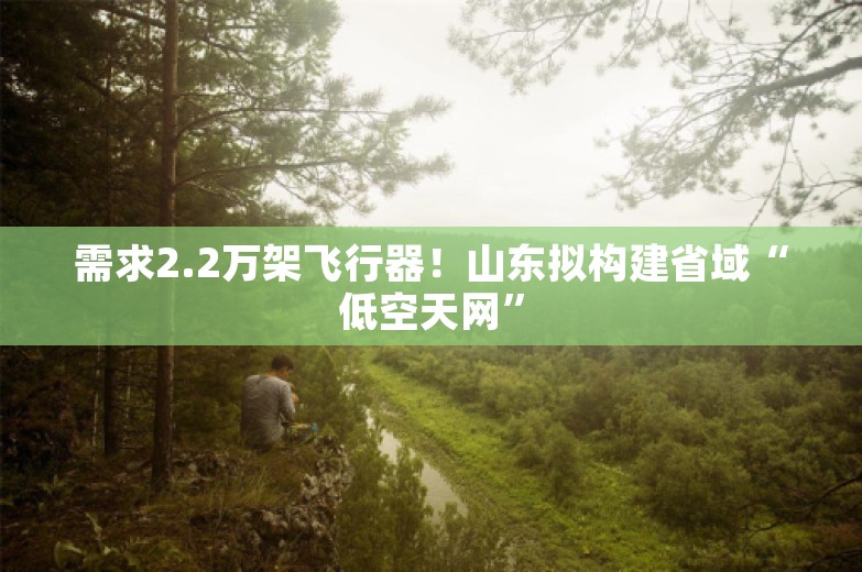 需求2.2万架飞行器！山东拟构建省域“低空天网”