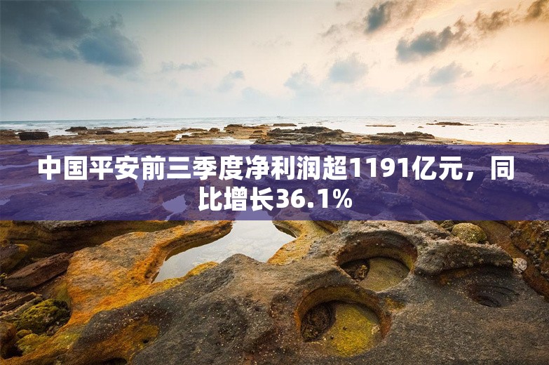 中国平安前三季度净利润超1191亿元，同比增长36.1%