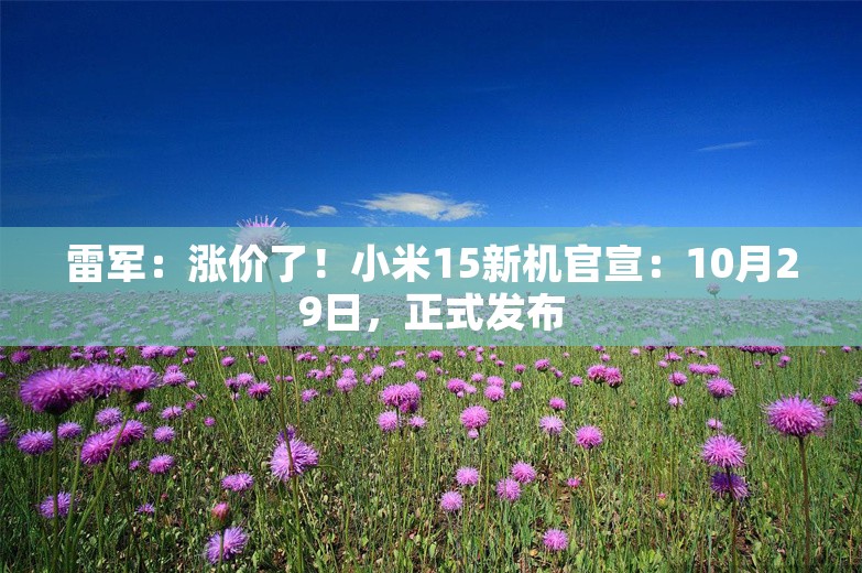 雷军：涨价了！小米15新机官宣：10月29日，正式发布