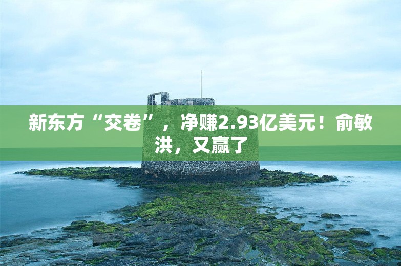 新东方“交卷”，净赚2.93亿美元！俞敏洪，又赢了