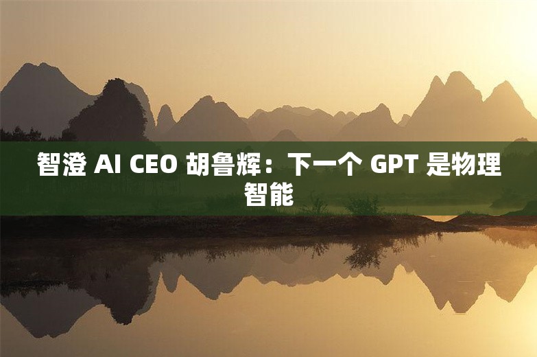 智澄 AI CEO 胡鲁辉：下一个 GPT 是物理智能