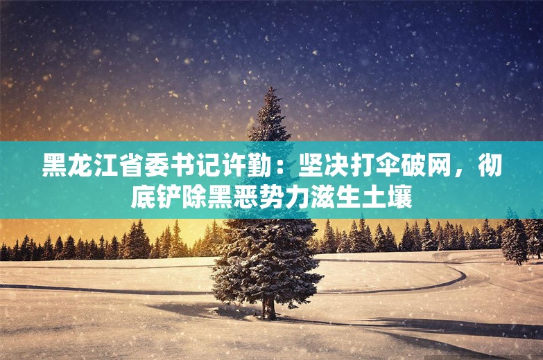 黑龙江省委书记许勤：坚决打伞破网，彻底铲除黑恶势力滋生土壤