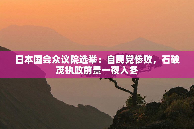 日本国会众议院选举：自民党惨败，石破茂执政前景一夜入冬