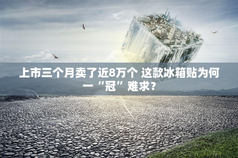 上市三个月卖了近8万个 这款冰箱贴为何一“冠”难求？