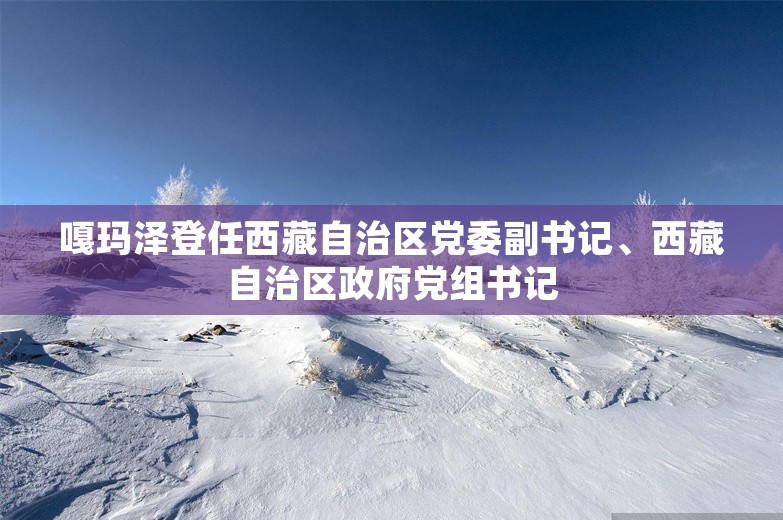 嘎玛泽登任西藏自治区党委副书记、西藏自治区政府党组书记