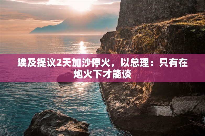 埃及提议2天加沙停火，以总理：只有在炮火下才能谈