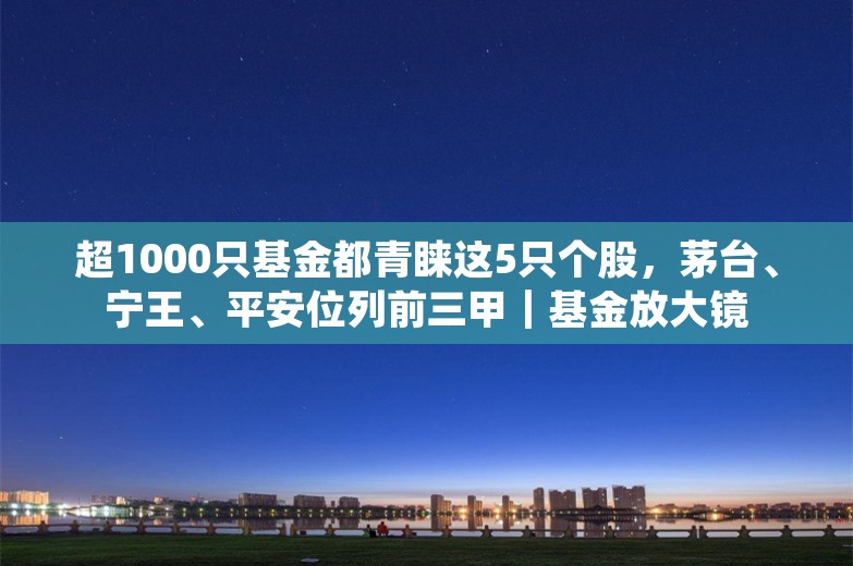 超1000只基金都青睐这5只个股，茅台、宁王、平安位列前三甲｜基金放大镜