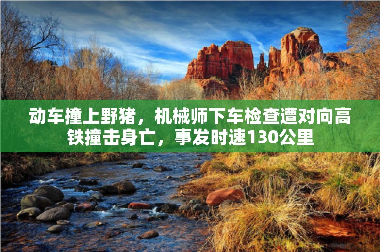 动车撞上野猪，机械师下车检查遭对向高铁撞击身亡，事发时速130公里