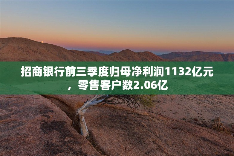 招商银行前三季度归母净利润1132亿元，零售客户数2.06亿