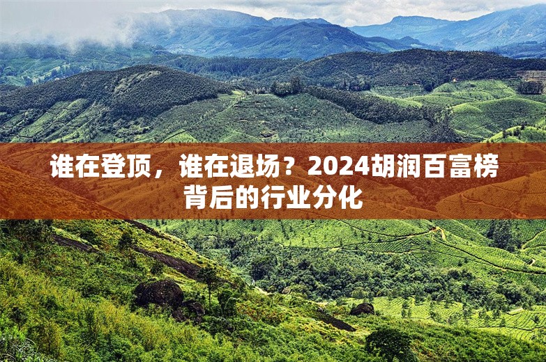 谁在登顶，谁在退场？2024胡润百富榜背后的行业分化