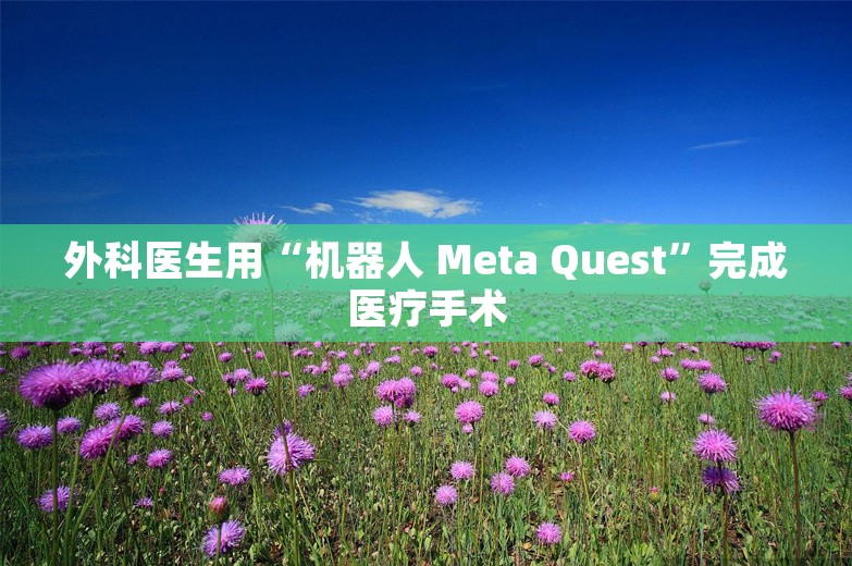 外科医生用“机器人 Meta Quest”完成医疗手术