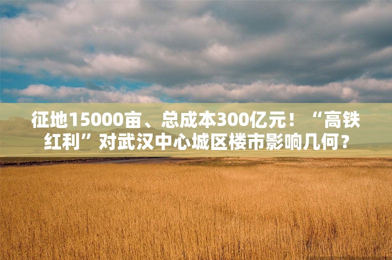 征地15000亩、总成本300亿元！“高铁红利”对武汉中心城区楼市影响几何？