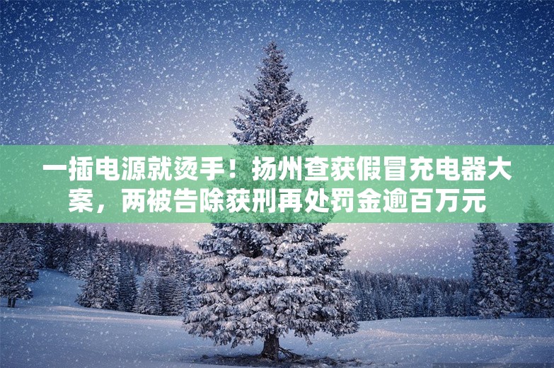 一插电源就烫手！扬州查获假冒充电器大案，两被告除获刑再处罚金逾百万元