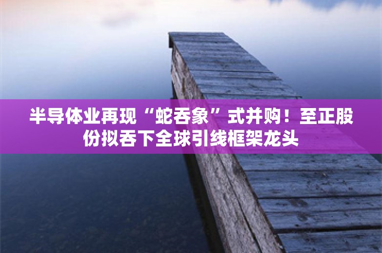 半导体业再现“蛇吞象”式并购！至正股份拟吞下全球引线框架龙头