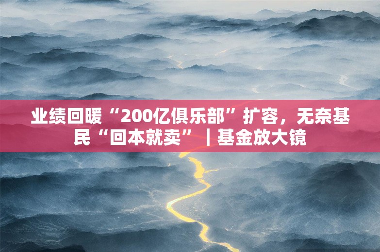 业绩回暖“200亿俱乐部”扩容，无奈基民“回本就卖”｜基金放大镜