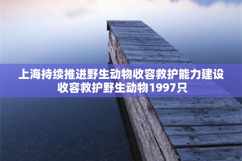 上海持续推进野生动物收容救护能力建设 收容救护野生动物1997只