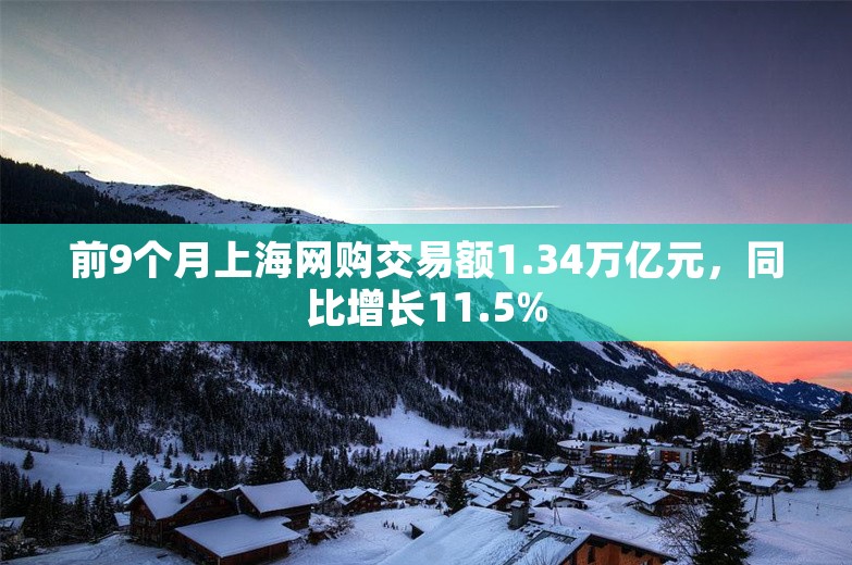 前9个月上海网购交易额1.34万亿元，同比增长11.5%