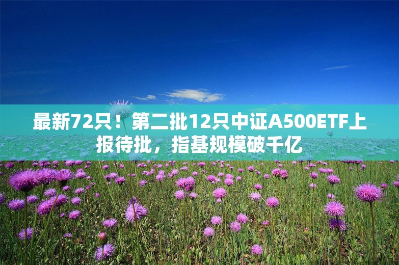 最新72只！第二批12只中证A500ETF上报待批，指基规模破千亿