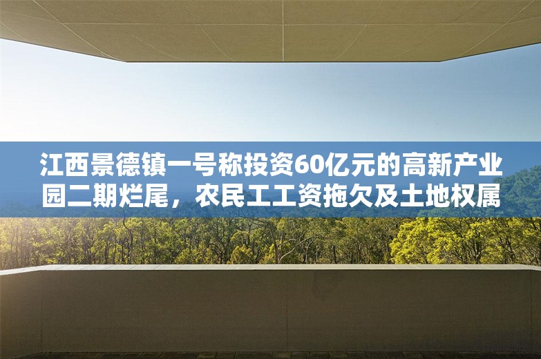 江西景德镇一号称投资60亿元的高新产业园二期烂尾，农民工工资拖欠及土地权属不明等纠纷亟待解决