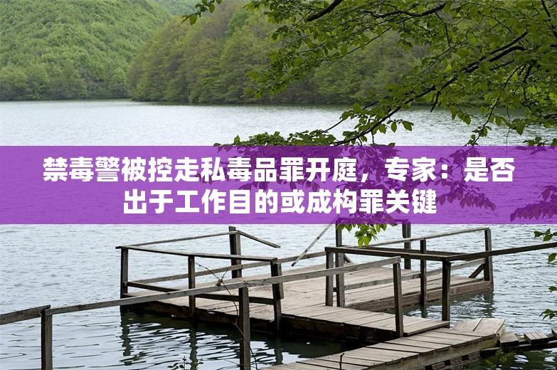 禁毒警被控走私毒品罪开庭，专家：是否出于工作目的或成构罪关键