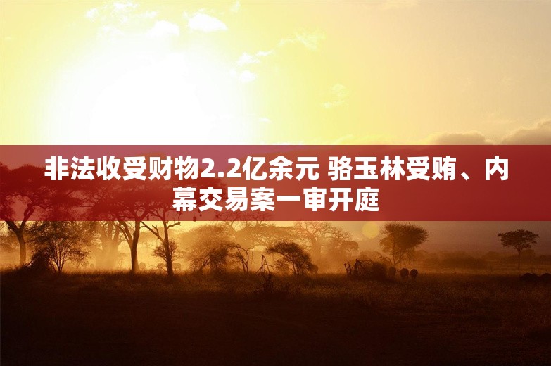 非法收受财物2.2亿余元 骆玉林受贿、内幕交易案一审开庭