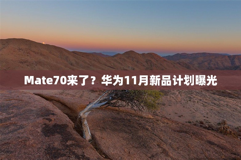 Mate70来了？华为11月新品计划曝光