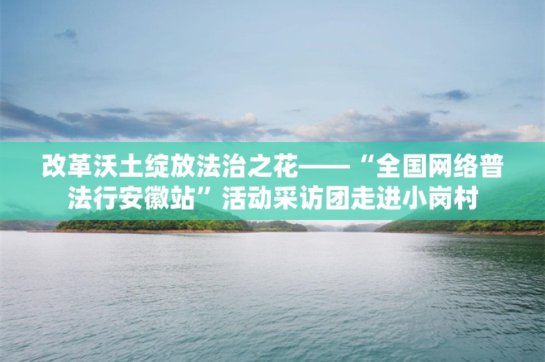 改革沃土绽放法治之花——“全国网络普法行安徽站”活动采访团走进小岗村