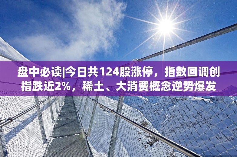 盘中必读|今日共124股涨停，指数回调创指跌近2%，稀土、大消费概念逆势爆发