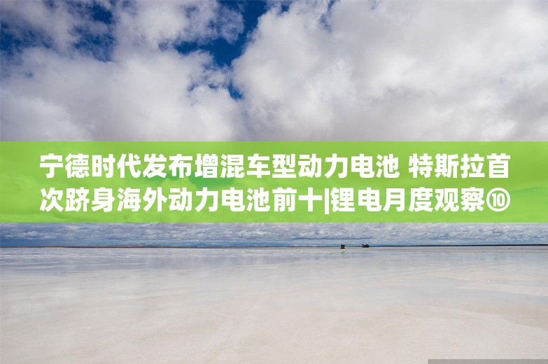 宁德时代发布增混车型动力电池 特斯拉首次跻身海外动力电池前十|锂电月度观察⑩