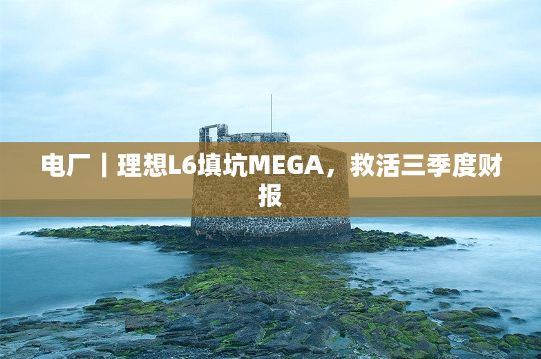 电厂｜理想L6填坑MEGA，救活三季度财报