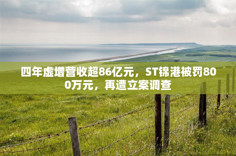 四年虚增营收超86亿元，ST锦港被罚800万元，再遭立案调查