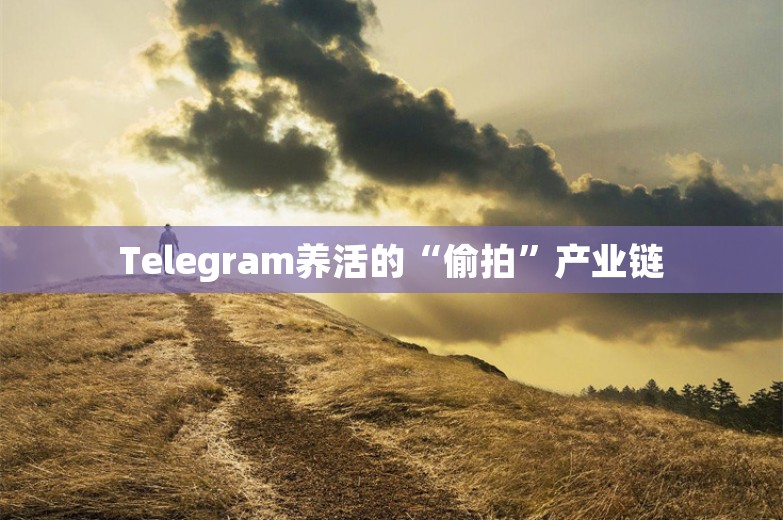 Telegram养活的“偷拍”产业链