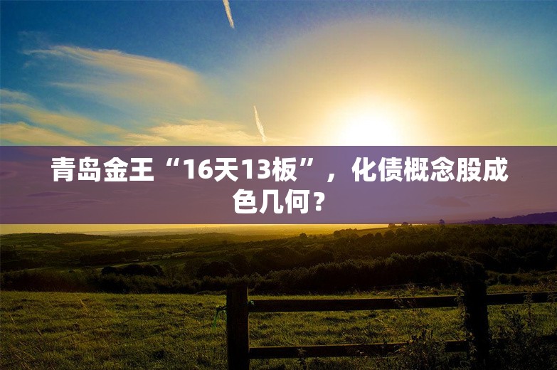 青岛金王“16天13板”，化债概念股成色几何？