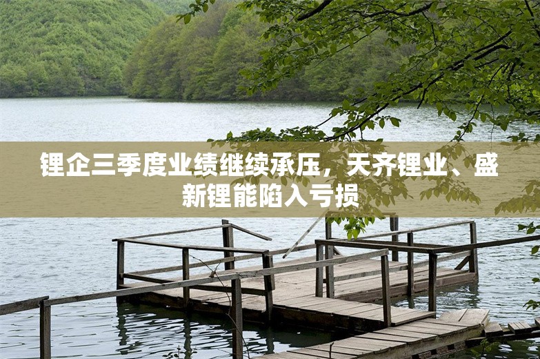 锂企三季度业绩继续承压，天齐锂业、盛新锂能陷入亏损