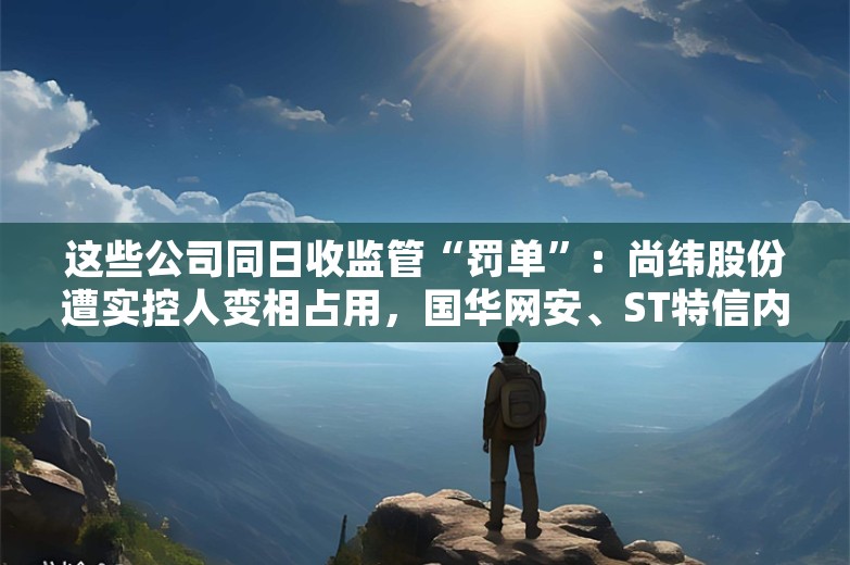 这些公司同日收监管“罚单”：尚纬股份遭实控人变相占用，国华网安、ST特信内控不到位