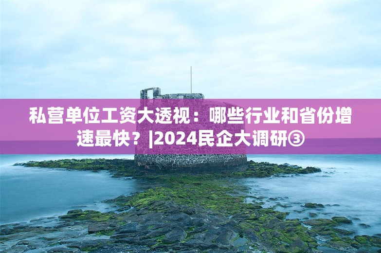 私营单位工资大透视：哪些行业和省份增速最快？|2024民企大调研③