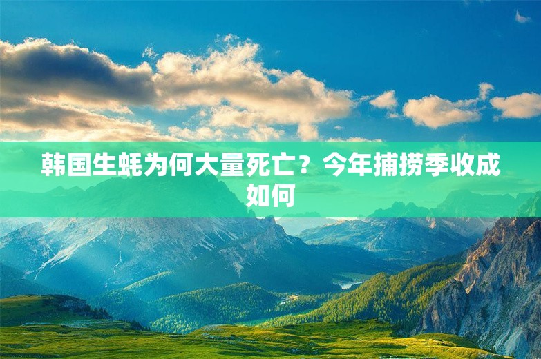 韩国生蚝为何大量死亡？今年捕捞季收成如何