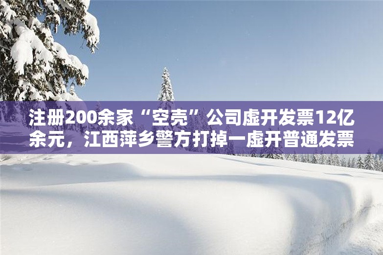 注册200余家“空壳”公司虚开发票12亿余元，江西萍乡警方打掉一虚开普通发票团伙