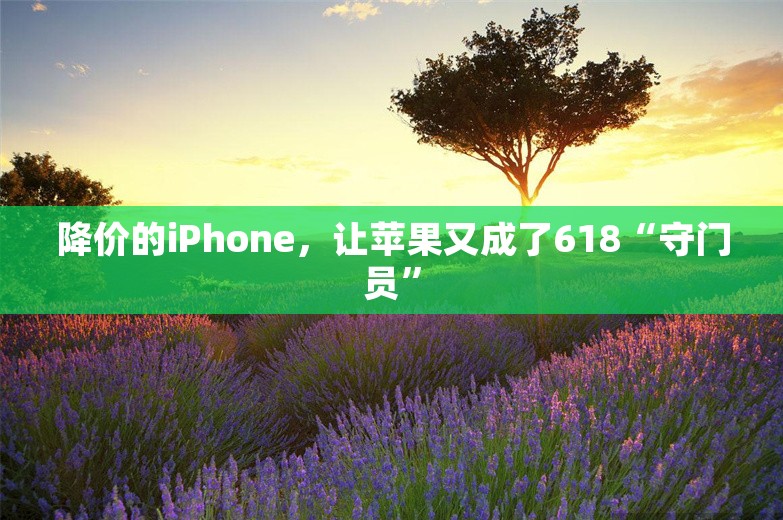 降价的iPhone，让苹果又成了618“守门员”