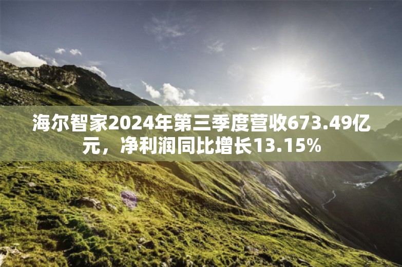 海尔智家2024年第三季度营收673.49亿元，净利润同比增长13.15%