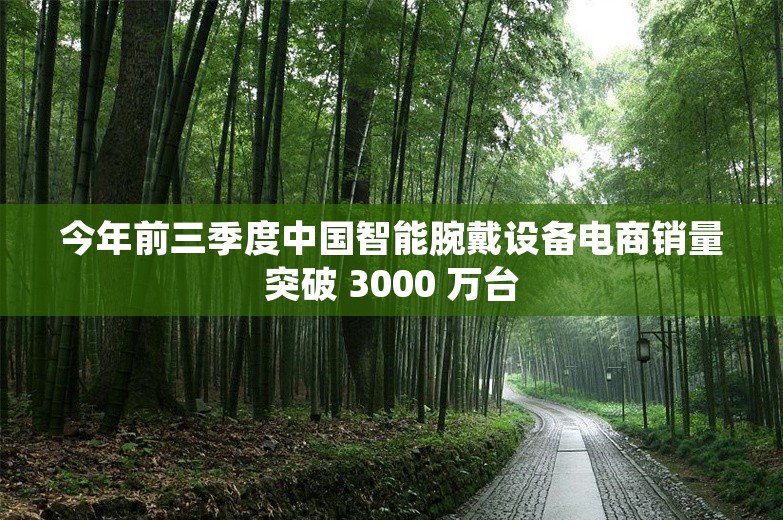 今年前三季度中国智能腕戴设备电商销量突破 3000 万台