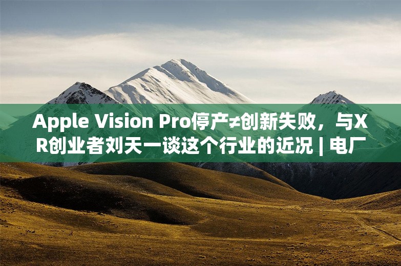 Apple Vision Pro停产≠创新失败，与XR创业者刘天一谈这个行业的近况 | 电厂