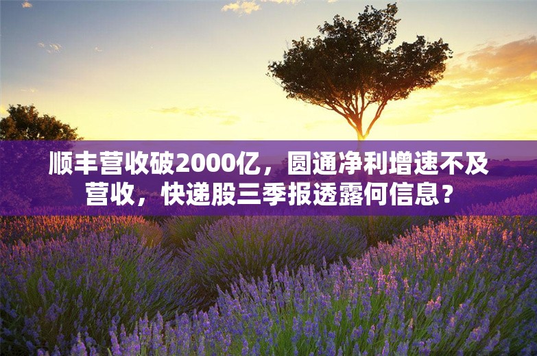 顺丰营收破2000亿，圆通净利增速不及营收，快递股三季报透露何信息？