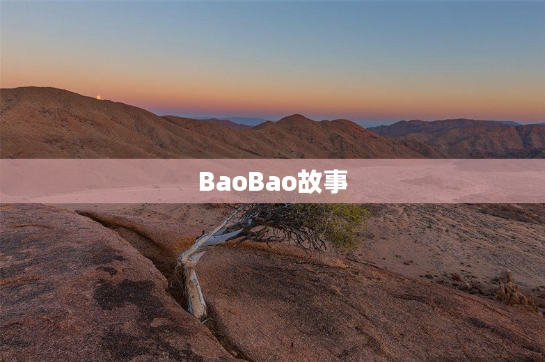 BaoBao故事