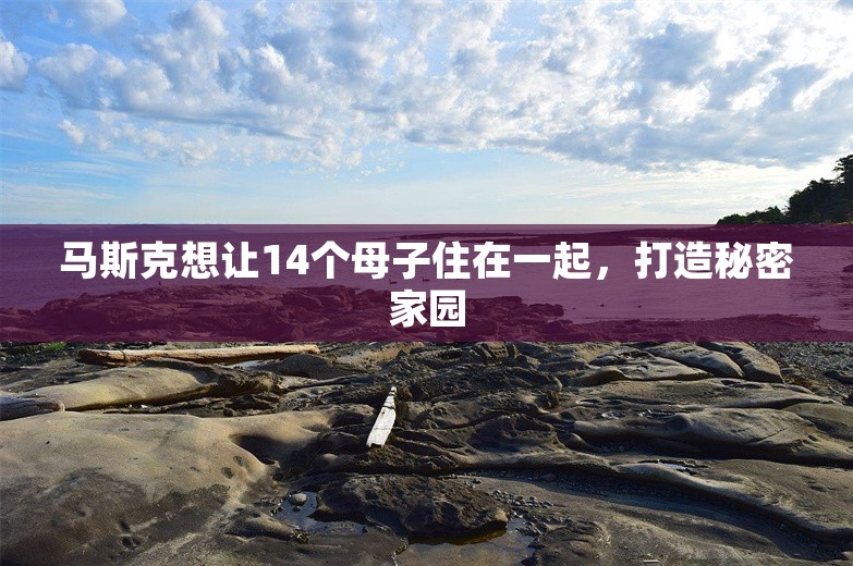 马斯克想让14个母子住在一起，打造秘密家园