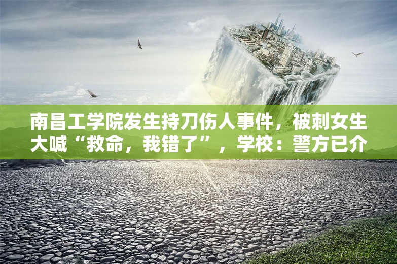 南昌工学院发生持刀伤人事件，被刺女生大喊“救命，我错了”，学校：警方已介入