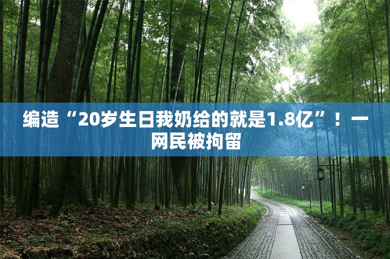 编造“20岁生日我奶给的就是1.8亿”！一网民被拘留