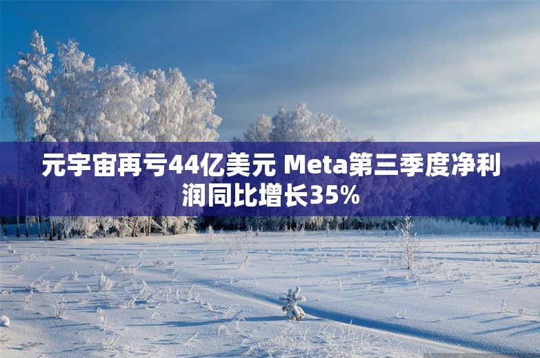 元宇宙再亏44亿美元 Meta第三季度净利润同比增长35%